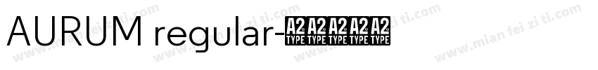 AURUM regular字体转换